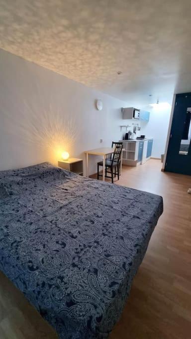 Studio En Rez De Jardin Avec Terrasse Privee - Le Petit Chateau Avesnois - Tv - Wifi - Logement Complet Avesnes-sur-Helpe Exterior foto